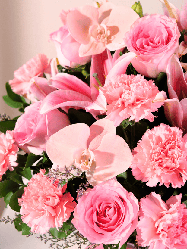 Pink Whisper