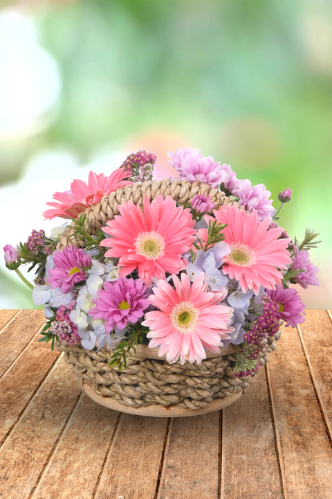 Love in a Basket